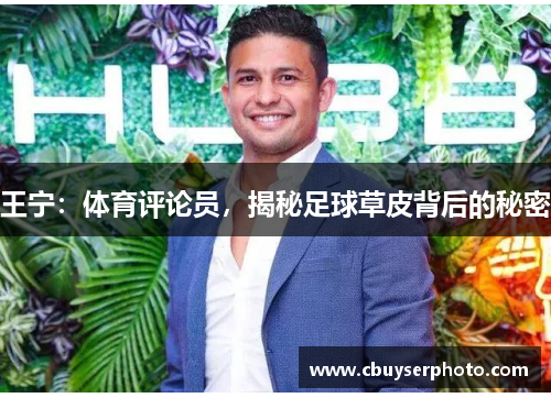 王宁：体育评论员，揭秘足球草皮背后的秘密